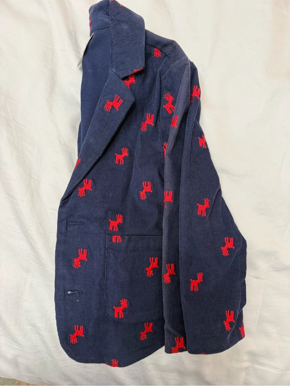 Boy’s Navy Blazer with Red Embroidered Motif
